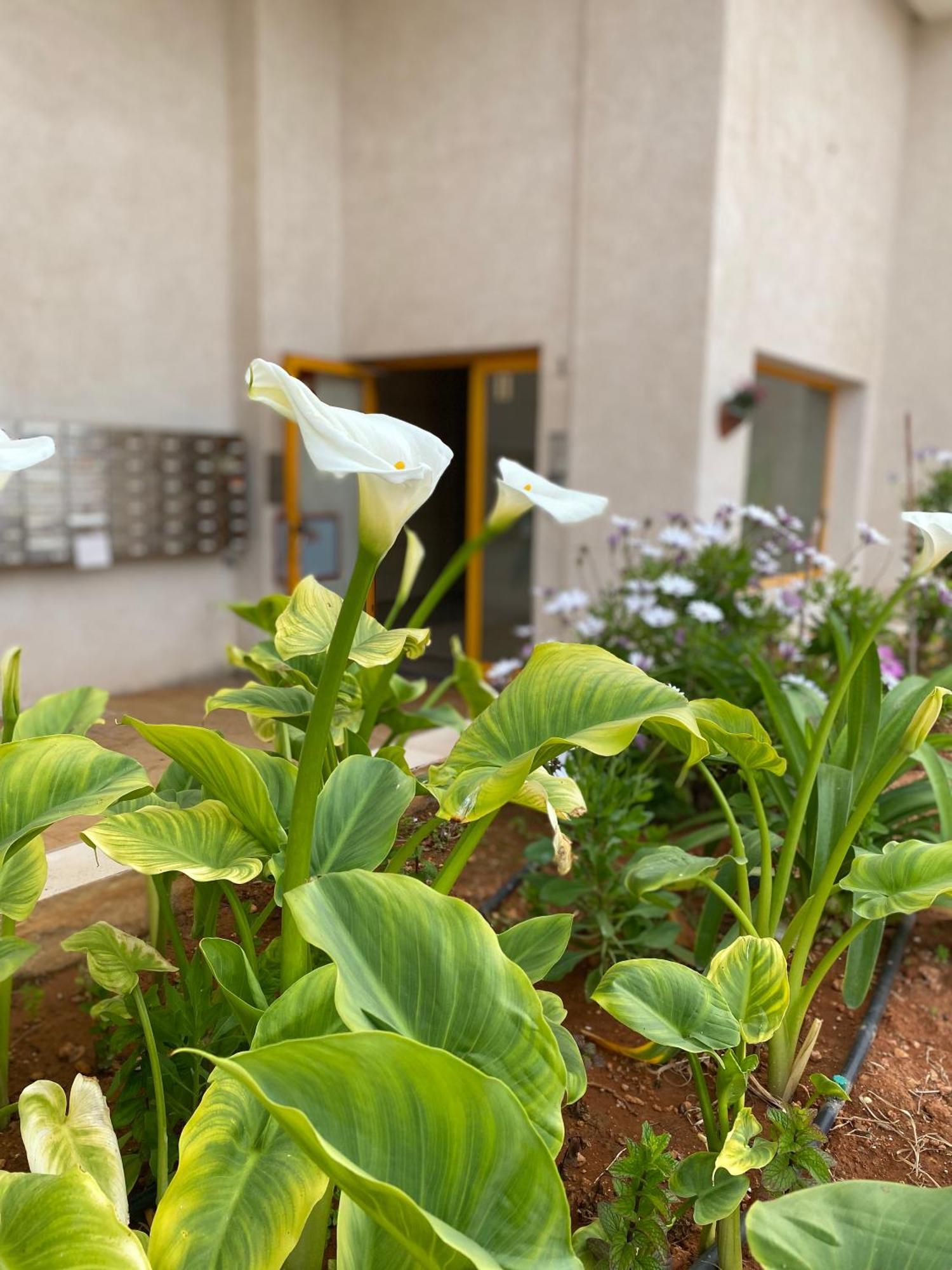 Apartamento Ambar Beach Calpe Exterior foto